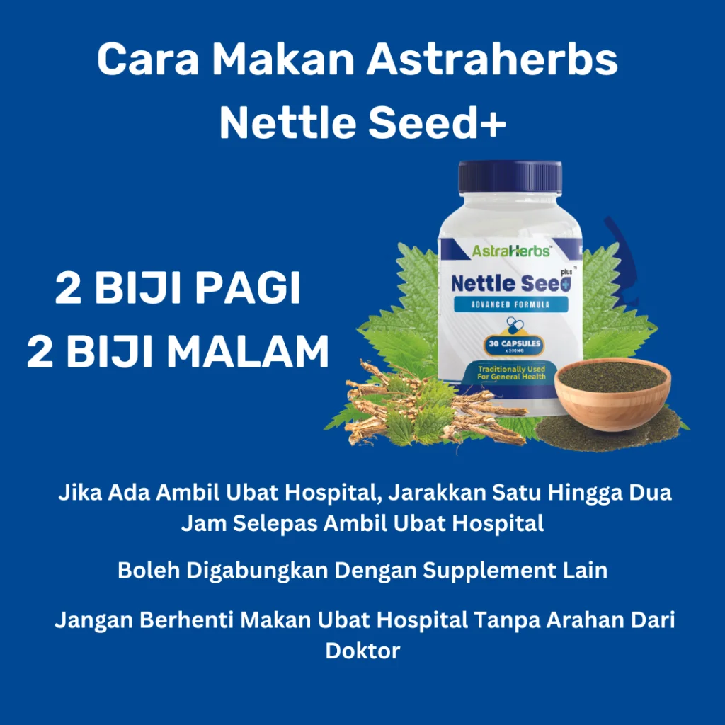 Astraherbs Nettle Seed merawat buah pinggang ginjal dan sakit pinggang, atasi kencing berbuih serta tak lawas dan menurunkan bacaan kreatinin